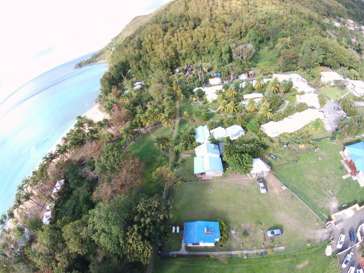 Reve Creole Villa Deshaies Eksteriør bilde