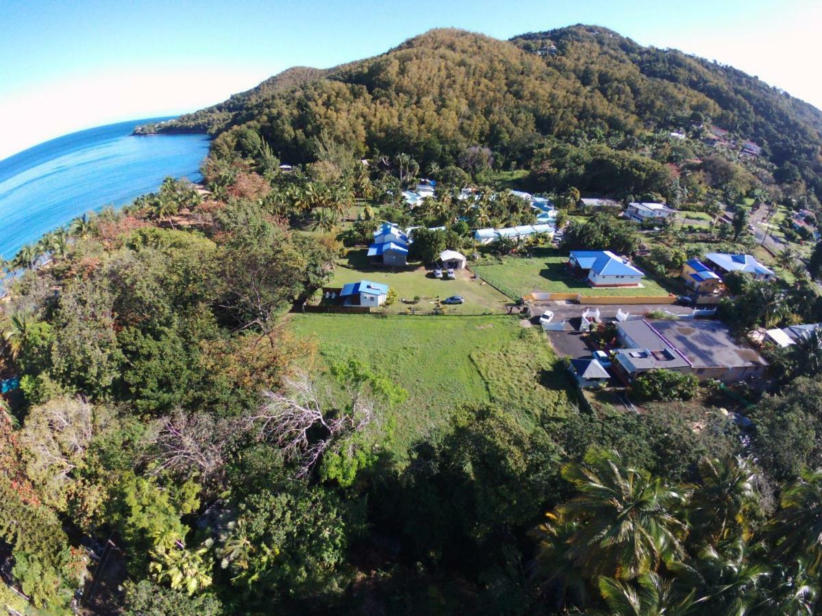 Reve Creole Villa Deshaies Eksteriør bilde